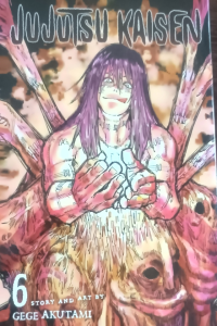 Jujutsu Kaisen 6