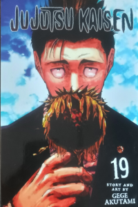 Jujutsu Kaisen 19