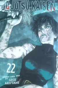 Jujutsu Kaisen 22