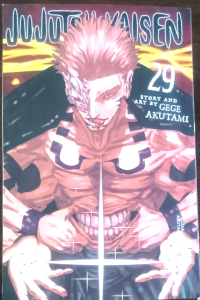 Jujutsu Kaisen 29