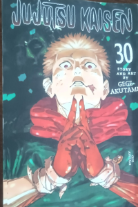 Jujutsu Kaisen 30