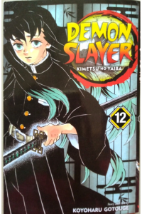 Demon Slayer - 12